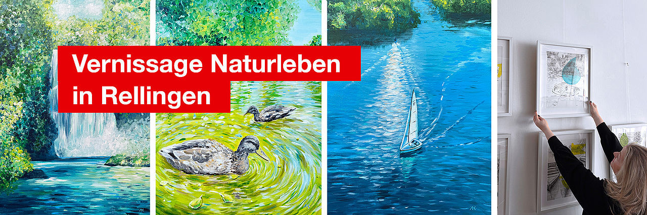 Eine Auswahl an Bildern der Künstelrin Kohrn für die Ausstellung Naturleben