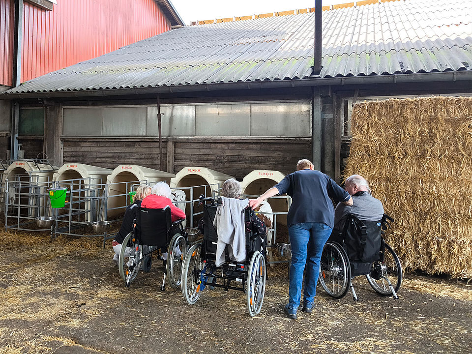 Die BewohnerInnen schauen die Kälber an.